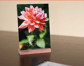 2026 Desk Calendar - Dahlia-flower themed