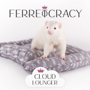 Cloud Lounger Small 20 x 16 Feathers Sleep Support Double-Layer 100% Cotton Fabric image 1