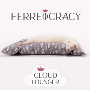 Cloud Lounger Small 20 x 16 Feathers Sleep Support Double-Layer 100% Cotton Fabric image 3