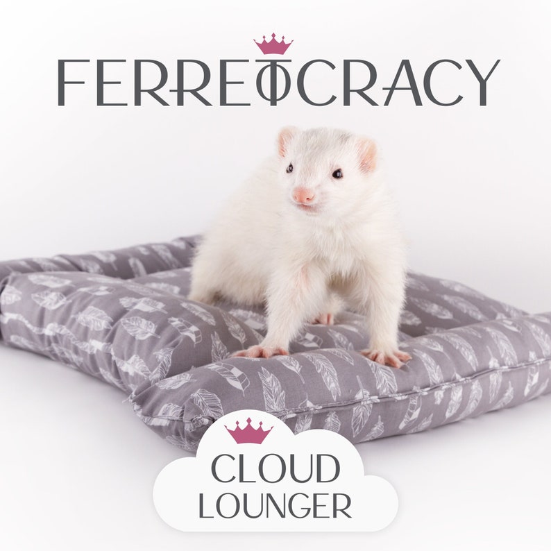 Cloud Lounger Small 20 x 16 Feathers Sleep Support Double-Layer 100% Cotton Fabric image 1