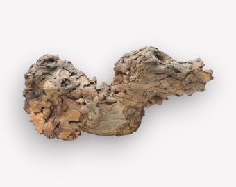 Rare Object of Natural Driftwood for Wall , Desktop