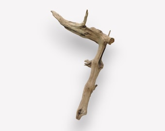 Natural Driftwood Tree Root Wood Object for Wall or lighting