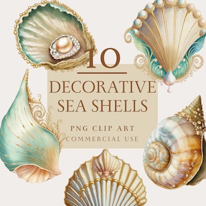 10 Vintage Decorative Colorful Seashells - Vintage Illustration, Seashell Clipart, Instant Download, Commercial Use, PNG, The Gilded Page