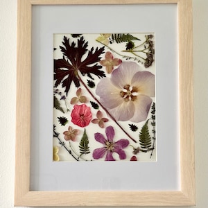 Pressed leaves & flower framed artwork, herbarium
