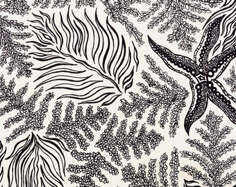 Original Art, Coastal Design in Black and White, Pen and Ink Drawing