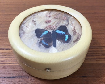 Vintage Celluloid Butterfly Box, Hinged Trinket Stash Box