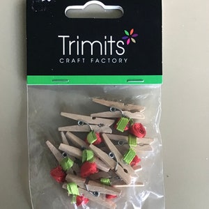 Mini Clothespins, Wood Clothespins, Silver, Tiny Clothespins, Clothes Pegs,  Small Clothespin, 1 Clothespin, Crafts Supplies Diy 