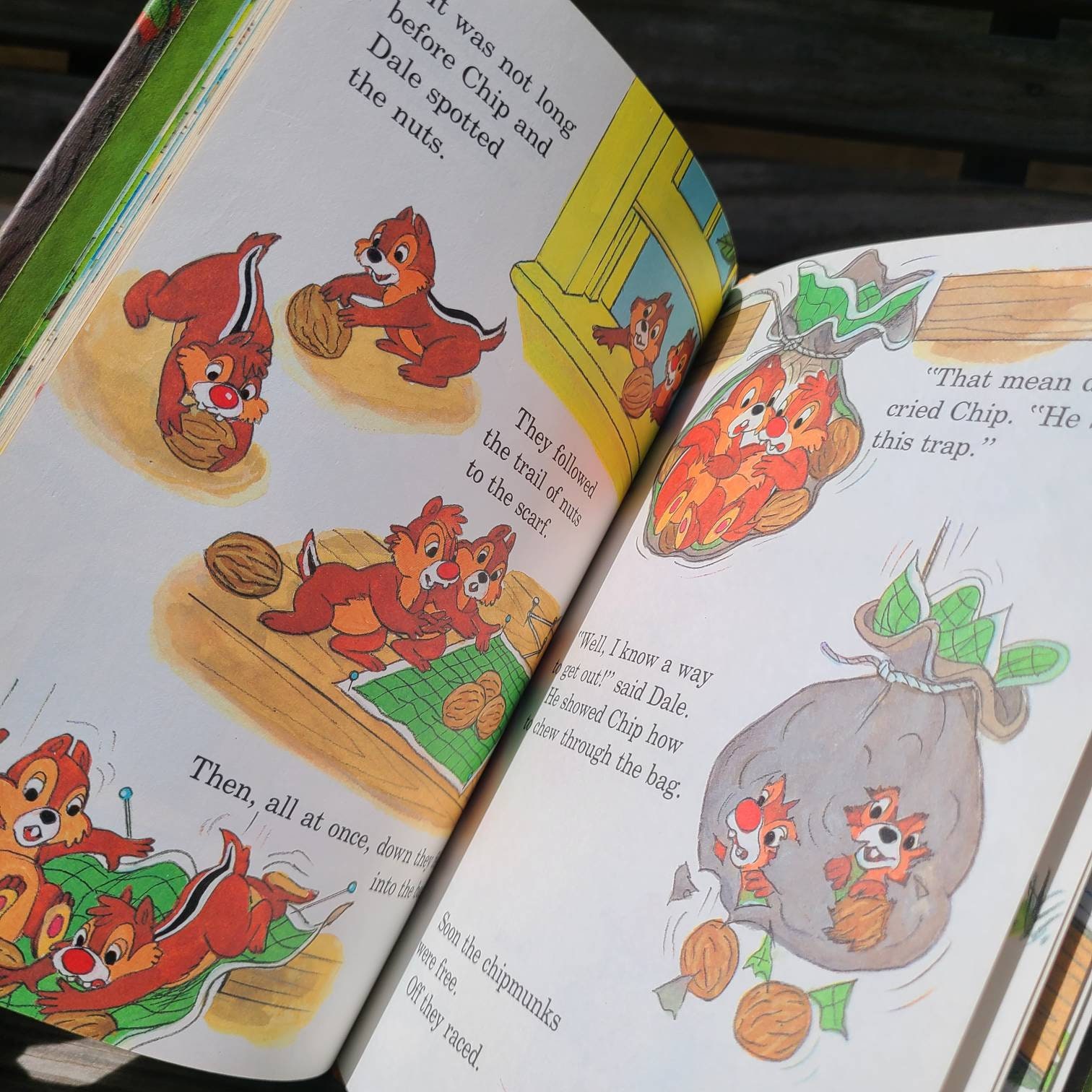 Libri vintage di Paperino/Libri Disney/Chip,Dale/Chipmunks/Libri per bambini/Illustrati/Little  Golden/Libri per bambini/Collezionismo/Compra una casa -  Italia