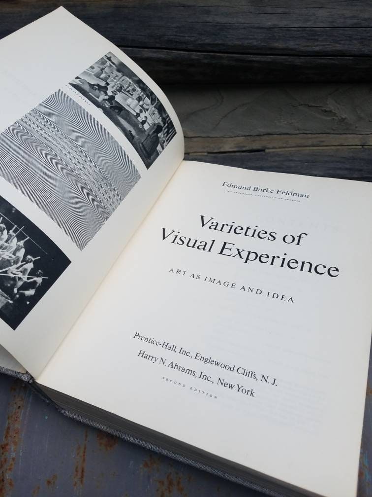 Art Books/retro/varieties of Visual Experience, Art as Image & Idea ...