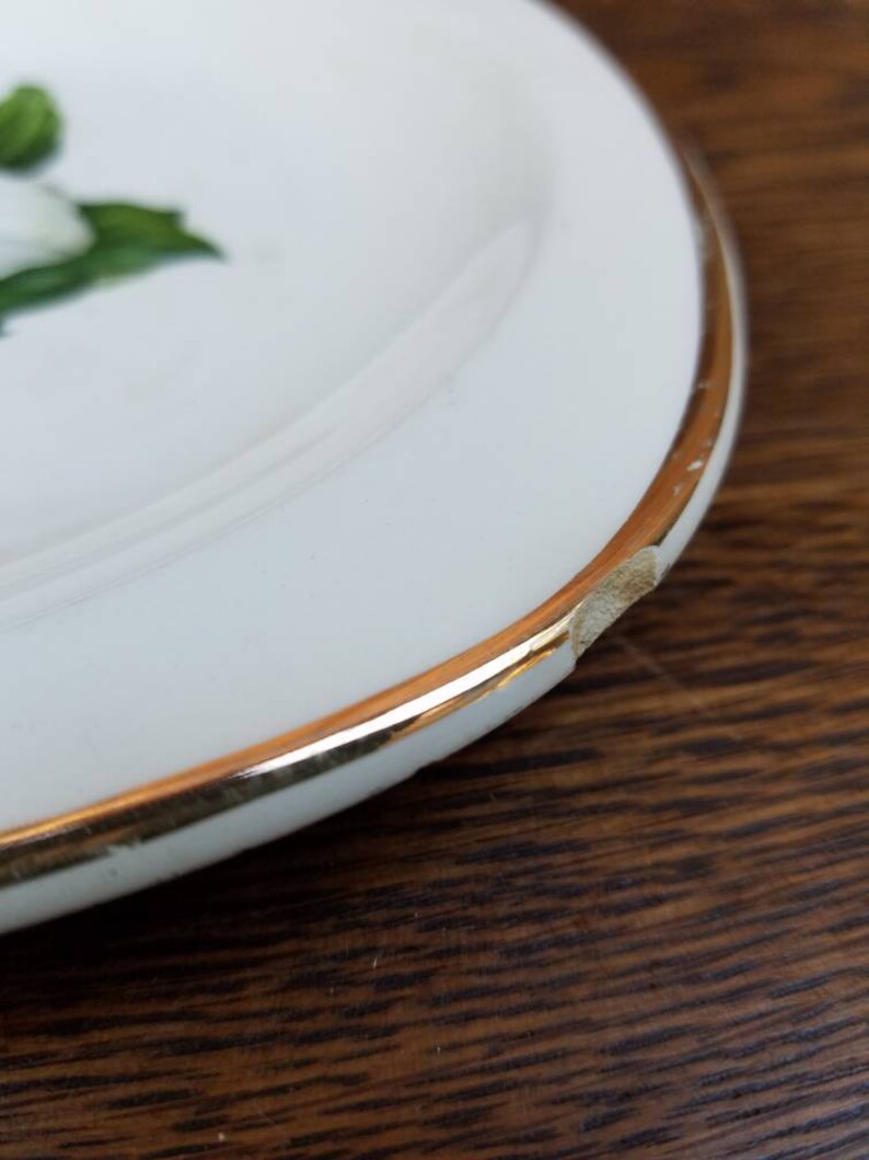 Glamour Pattern Plate Dogwood look 1940/'s Trillium White /& 22k Gold American Limoges China CoSalad PlateVintageFlowerOlddishesdish