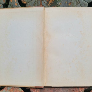 May include: An open book with blank pages. The book is old and has a worn, cream-colored cover.
