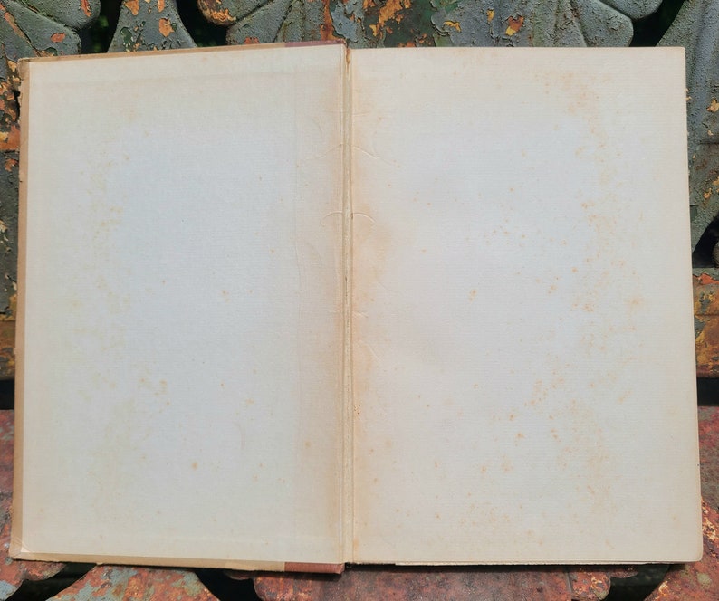 May include: An open book with blank pages. The book is old and has a worn, cream-colored cover.