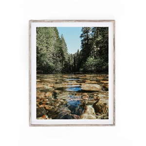 Forest Print Art | Forest Photography | Forest river photography | Pipi Valley photography | California Forest photography