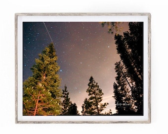Starry Night Photography | Night Photography | Large Wall Art Print | California forrest photography | Forrest photography