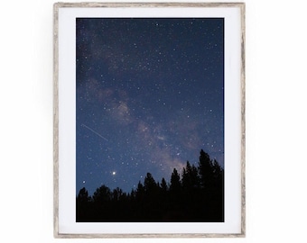 Milky Way Photography | Long Exposure Night Photography | California forrest photography | Forrest photography