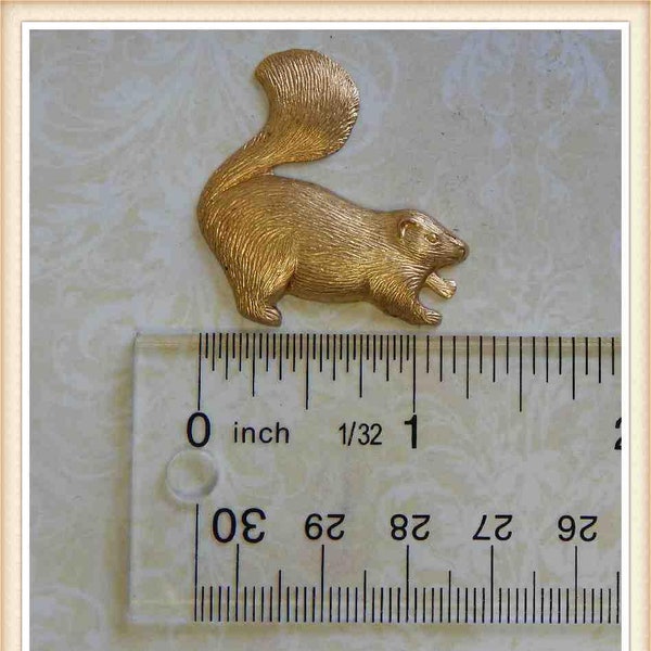 12 pc skunk raw brass finding embellishment ornament #4365