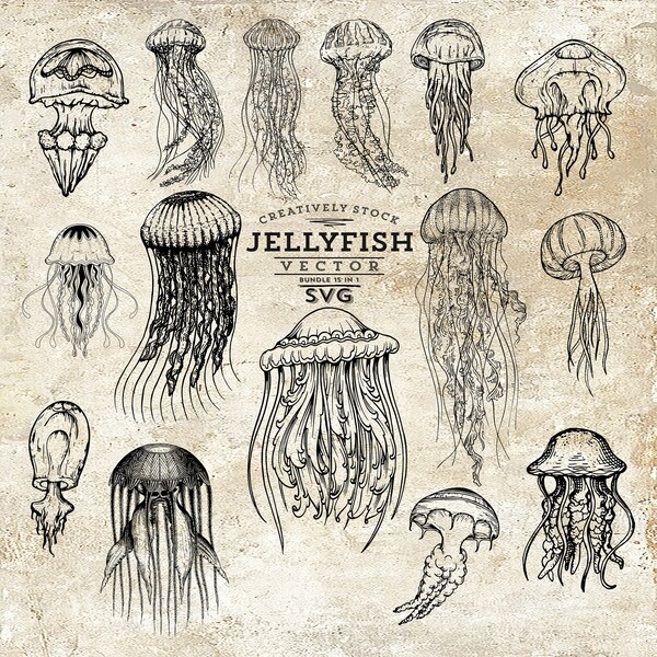 Jellyfish SVG Bundle, Medusa Svg, Jellyfish Clipart, Ocean animals Svg, Sea Animals Svg, Nautical Svg, Jellyfish Files for Cricut, Vector