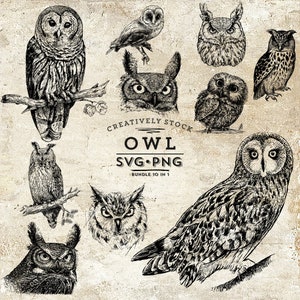 May include: A set of ten monochrome owl illustrations, featuring different species and poses. Some owls are perched on branches. The image includes the text "OWL SVG PNG BUNDLE 10 IN 1" in a vintage style.