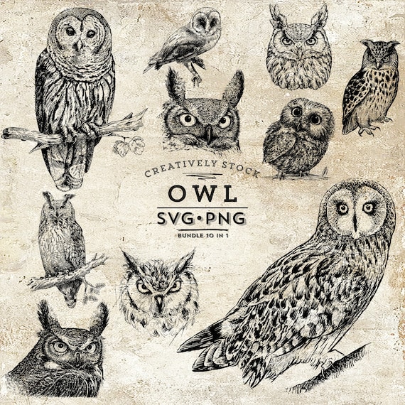 Owl svg PNG, Owl face PNG, Owl silhouette, Owl head svg png, Forest Owl svg, Stencil, Cut file, Cuttable, Vector, Curves - SVG Png