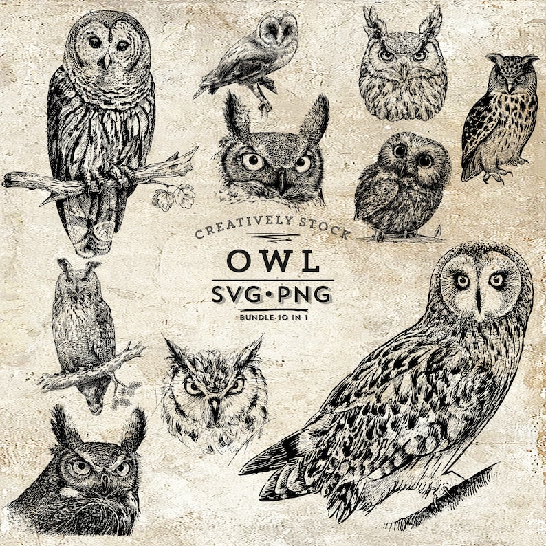 May include: A set of ten monochrome owl illustrations, featuring different species and poses. Some owls are perched on branches. The image includes the text "OWL SVG PNG BUNDLE 10 IN 1" in a vintage style.