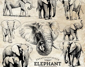 Paquete SVG PNG de elefantes, imágenes prediseñadas de vida silvestre africana (descarga digital)