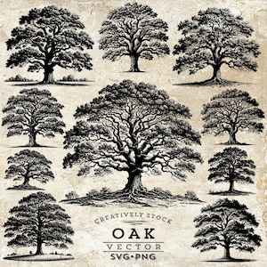Oak Tree Svg PNG, Trees svg, Oak svg png, Leaf, Tree, SVG, Oak tree vintage sketch, Family tree SVG, drawing clipart, Tree Sketch, Forest