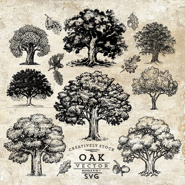 Oak Tree svg, Trees svg, Oak svg, Leaf, Tree, SVG, Oak tree vintage sketch, Family tree SVG, drawing clipart, Tree Sketch, Maple, Forest