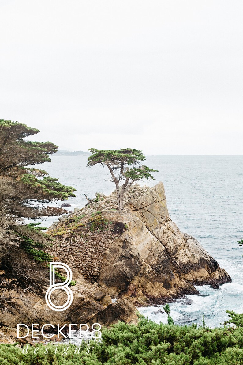 May include: A lone cypress tree grows on a rocky outcropping overlooking the ocean. The tree is silhouetted against a cloudy sky. The water is a deep blue and the rocks are a light brown.