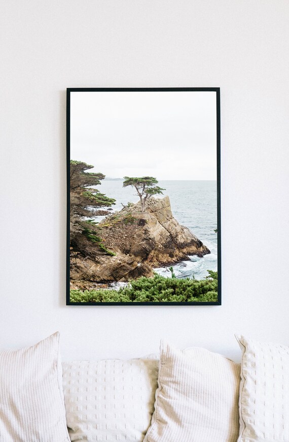 Lone Cypress - Digital Copy or Print on High Quality Photo Paper