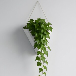Può includere: Una fioriera da parete bianca e geometrica con una pianta verde pendente. La fioriera è sospesa da un filo sottile contro un muro bianco. Le foglie della pianta cadono a cascata, creando un contrasto sorprendente.