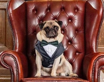 Gray Dog Wedding Suit Harness with Leash – Custom Ring Bearer Tuxedo XS–XL