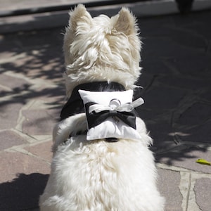 Dog collar ring holder sale