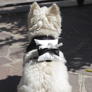 White Ring Bearer Dog Collar and Leash