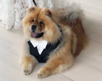 Dog wedding attire, Black dog tuxedo dress, dog wedding tuxedo, Tuxedo harness, dog wearing clothes, dog suit, dog ring bearer, dog harness