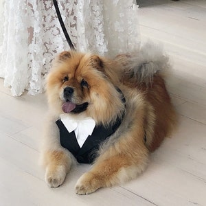 Black dog tuxedo suit, dog wedding suit harness, dog wedding tuxedo, Tuxedo harness, dog wedding attire, dog wearing clothes, dog ringbearer
