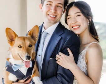 Arnés azul marino para perro con correa: porta anillos de boda personalizado