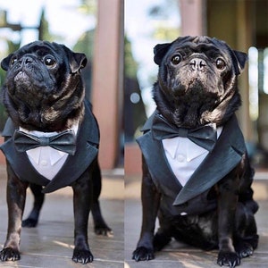 Formal Dog Tuxedo Harness Wedding Tuxedo for Dogs Custom Made Tuxedo Dog Wedding Attire Suit for Dog Dog Bearer Choice Color Bowtie Etsy Canada