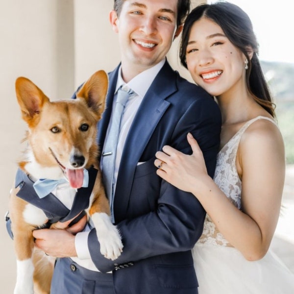 Blue navy dog tuxedo with blue leash, dog wedding harness and leash set, dog wedding attire, ring bearer dog outfit, dog formal wear wedding