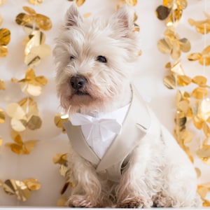 Hochzeitskleidung für Hunde, Beige Hunde-Smoking, Hunde-Hochzeits-Smoking, Smoking-Geschirr, Hundetragekleidung, Hundeanzug, Hunderingträger, Hundegeschirr