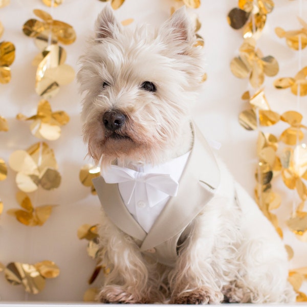 Dog wedding attire, Beige dog tuxedo dress, dog wedding tuxedo, Tuxedo harness, dog wearing clothes, dog suit, dog ring bearer, dog harness