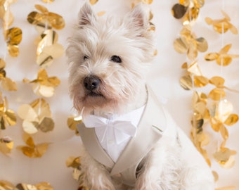 Beige Dog Tuxedo Dress Harness – Elegant Wedding Ring Bearer Outfit