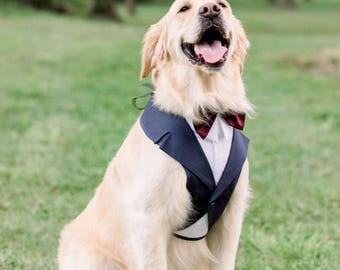 Navy Blue Dog Wedding Suit Harness & Leash – Custom Ring Bearer XS-3XL
