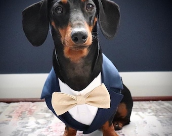 Navy Blue Dog Tuxedo Harness – Elegant Wedding Ring Bearer Outfit