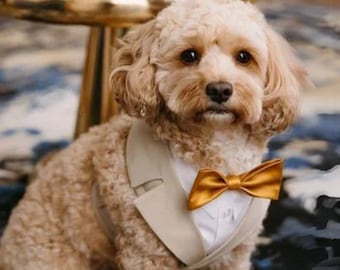 Beige Dog Wedding Tuxedo Harness & Leash Set: Custom Suit Outfit for Ring Bearer Dogs XS–3XL