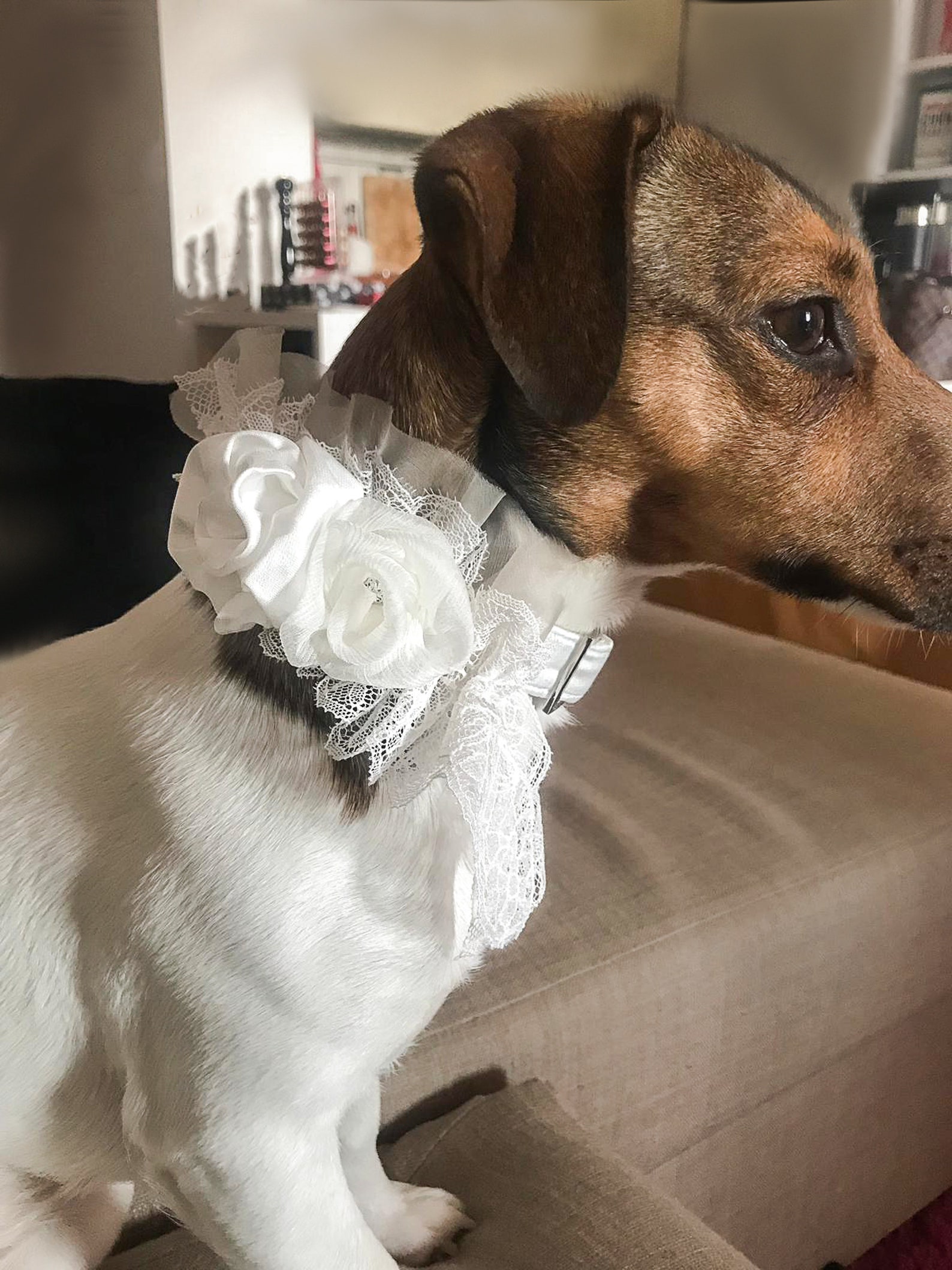White Dog Wedding Leash and Collar With Roses and Lace Girly Etsy