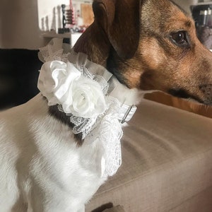 White dog wedding leash and collar with roses and lace, girly dog collar, lace dog collar, rose dog collar, dog wedding attire image 5