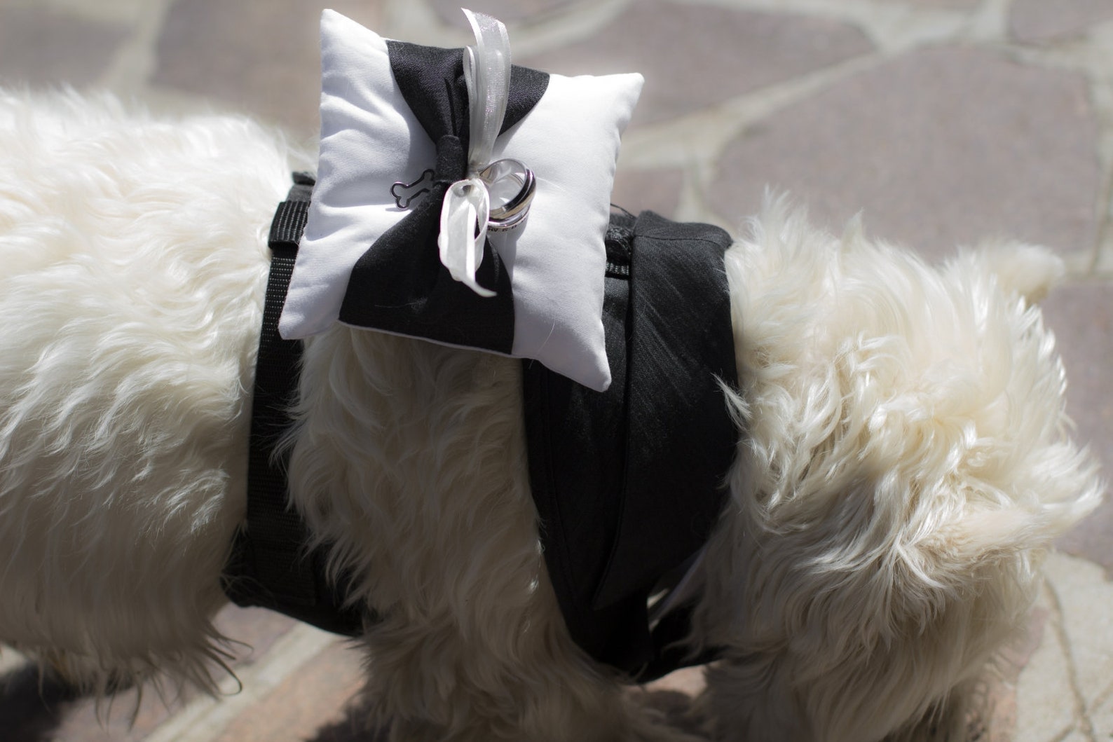 Dog Ring Bearer Pillow Dog Ring Holder White Ring Bearer Etsy