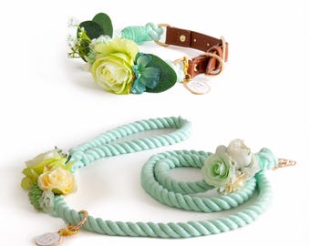 May include: A light green rope dog collar and leash set with a floral accent. The collar and leash are made of a thick, braided rope. The floral accent is made of white and green flowers.