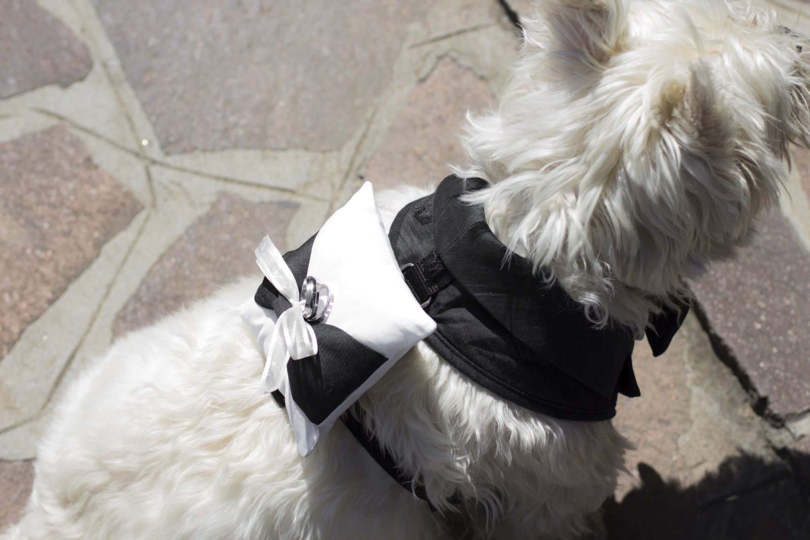 Dog Ring Bearer Pillow Dog Ring Holder White Ring Bearer Etsy