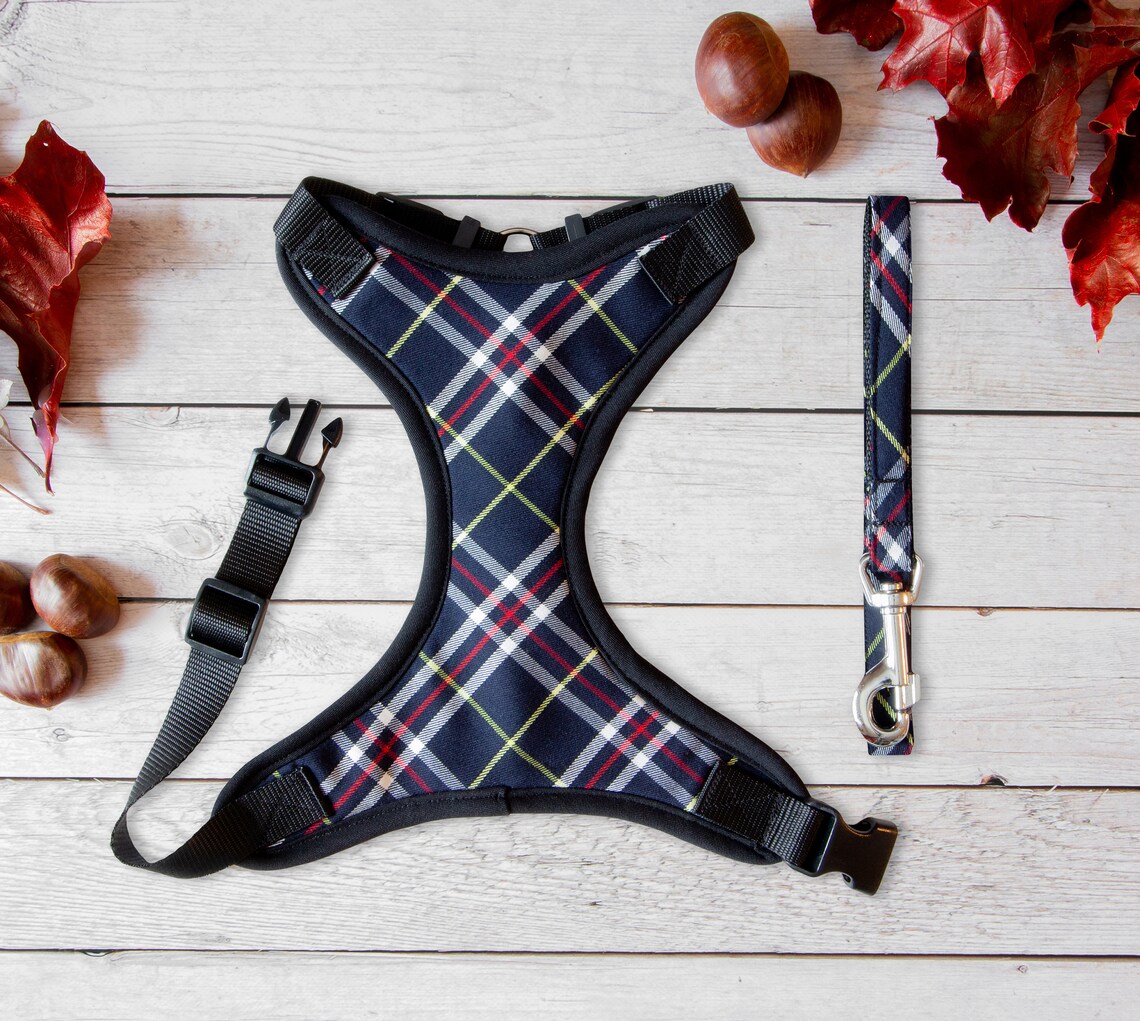 Blue Tartan Dog Harness for Small to Large Dogs Elegant Dog Etsy